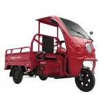 Mini Truck 1.5m 3 Wheels Electric Ebike | Yonsland Electric Vehicles