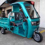 MINI TRUCK 1.5m Electric 3wheels Electric Ebike | Yonsland Electric Vehicles