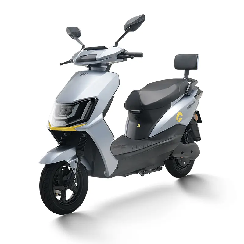 YONSLAND TG500  2 Wheels High Speed Electric Bike