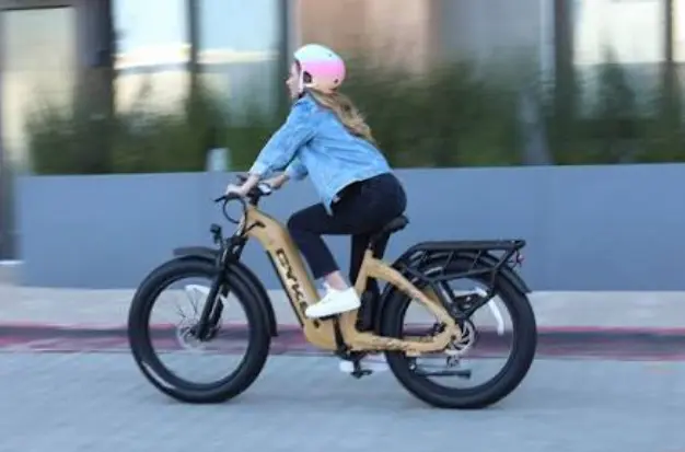 What to Look for in a Commuter Electric Bikes?