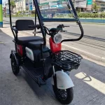 YONSLAND X1 New 3 Wheels Electric Ebike | Yonsland Electric Vehicles