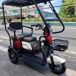 YONSLAND X1 New 3 Wheels Electric Ebike | Yonsland Electric Vehicles
