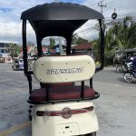 YONSLAND ELECTRIC EBIKE X2 Plus Electric 3-wheels Ebike | Yonsland Electric Vehicles