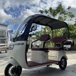 YONSLAND ELECTRIC EBIKE X2 Plus Electric 3-wheels Ebike | Yonsland Electric Vehicles