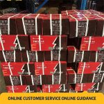 Battery For Electric Ebike | Yonsland Electric Vehicles