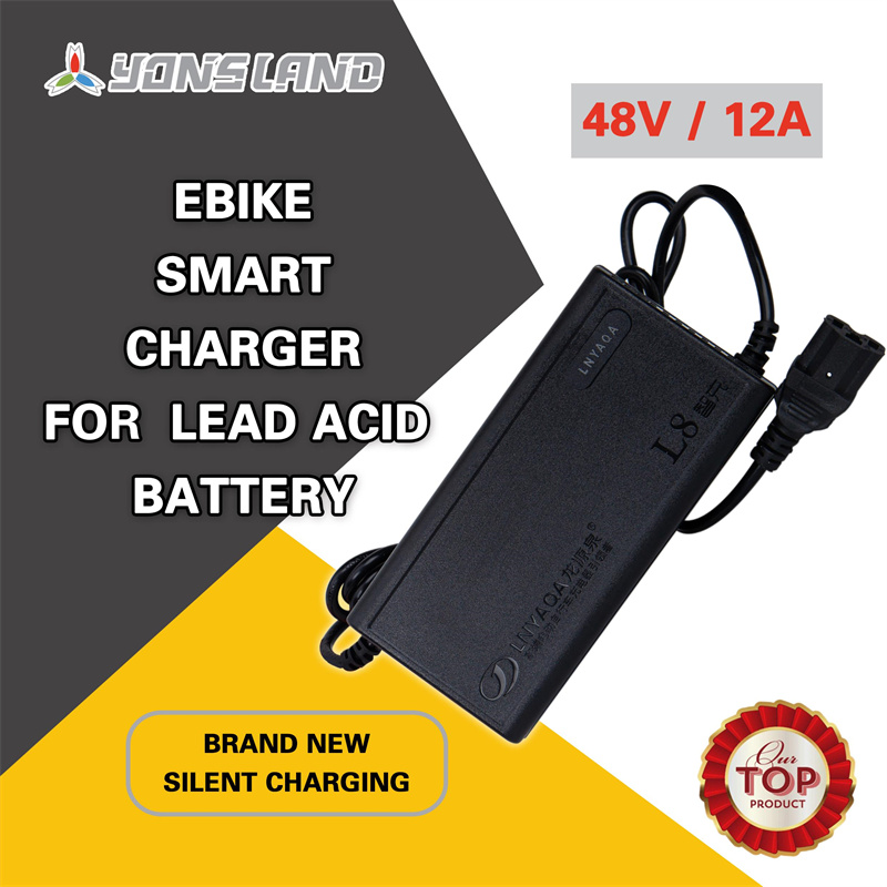 Ebike Charger Battery