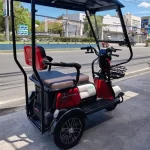 YONSLAND X1 New 3 Wheels Electric Ebike | Yonsland Electric Vehicles