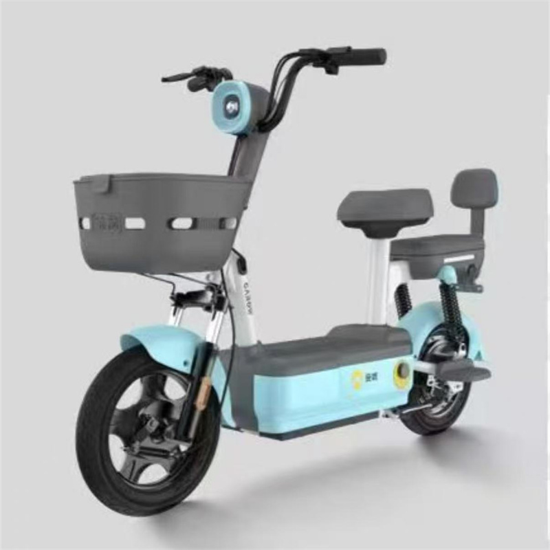 h2 ebike