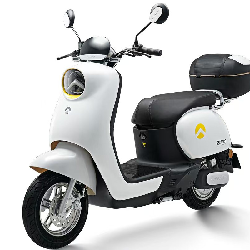YONSLAND TURTLE KING 2wheels electric ebike
