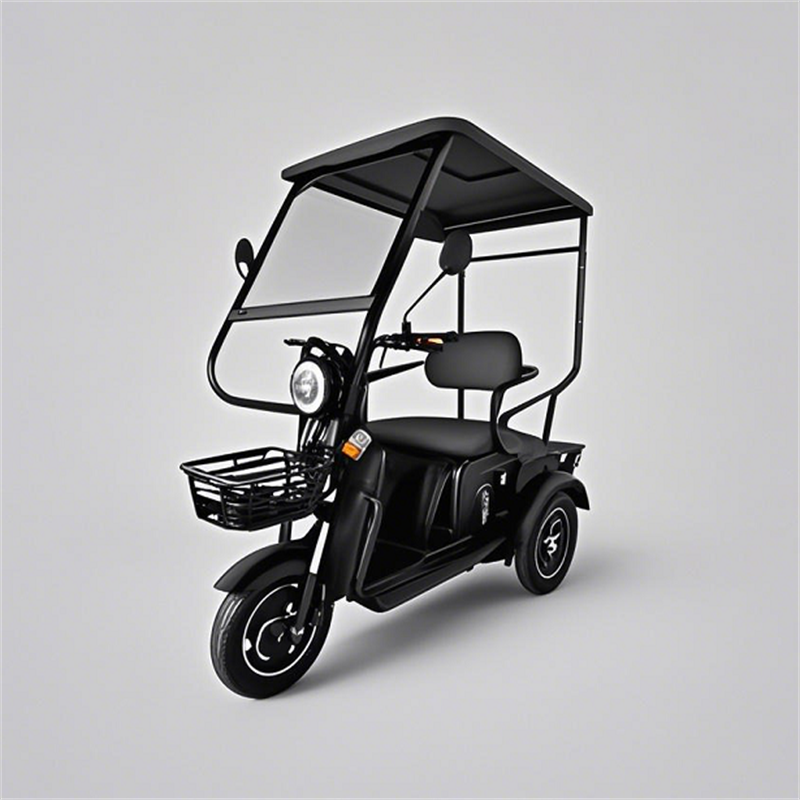 YONSLAND X1 new 3 wheels electric ebike