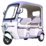 Fully Enclosed Electric Three-wheeled Vehicle, Mobility Scooter For The Elderly | Yonsland Electric Vehicles