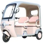 Fully Enclosed Electric Three-wheeled Vehicle, Mobility Scooter For The Elderly | Yonsland Electric Vehicles