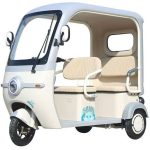 Fully Enclosed Electric Three-wheeled Vehicle, Mobility Scooter For The Elderly | Yonsland Electric Vehicles